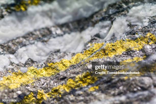 gold - metal ore stock pictures, royalty-free photos & images