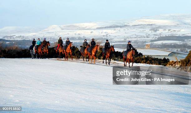 Racehorses make their way along snow covered roads to the gallops on Middleham Moor near Leyburn, as yellow snow and ice warnings are in place for...