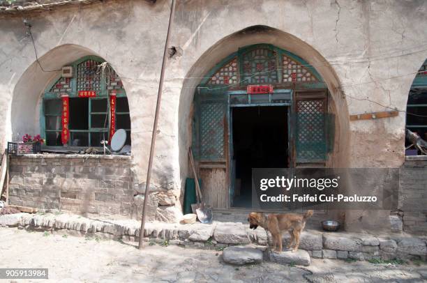 a dog in front a chinese cave house - shaanxi provinz nordostchina stock-fotos und bilder