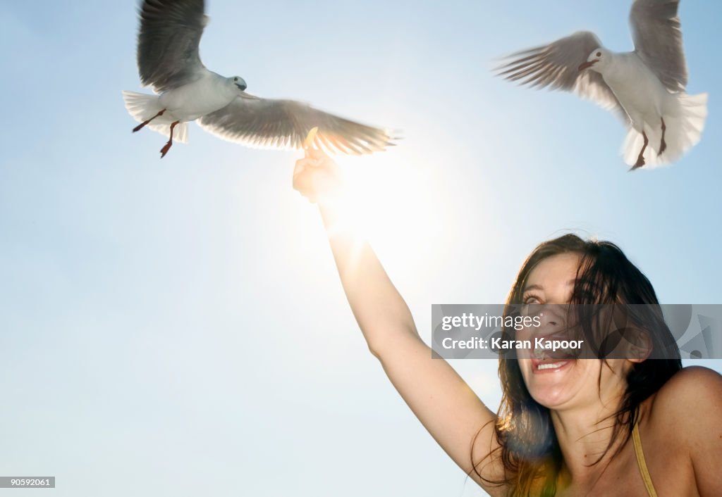 Young female feeding seagulls