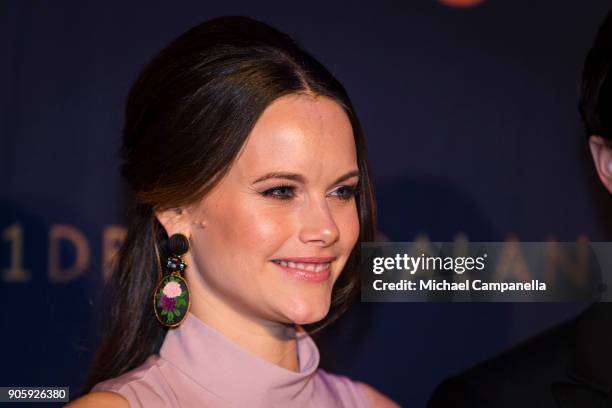 Princess Sofia of Sweden the Duchess of Varmland walks the red carpet when arriving at Idrottsgalan, the annual Swedish sports awards gala, held at...