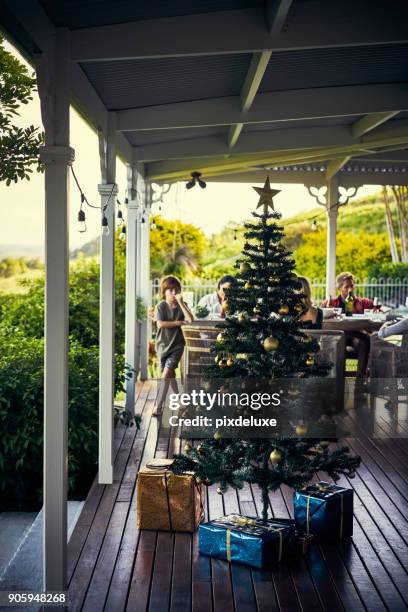 the tree that brings everyone together - australian christmas stock pictures, royalty-free photos & images