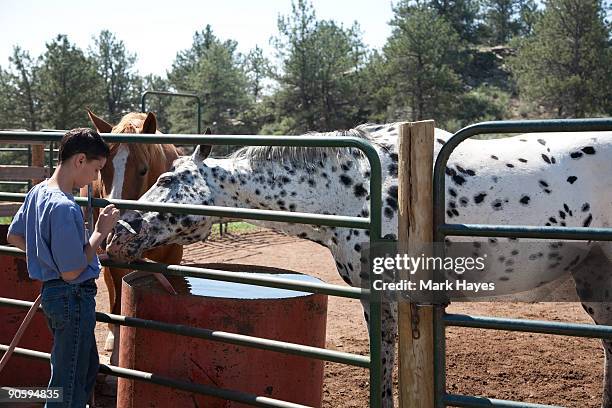 Boys On Ranches Colorado Boys Ranch Photos and Premium High Res Pictures - Getty Images