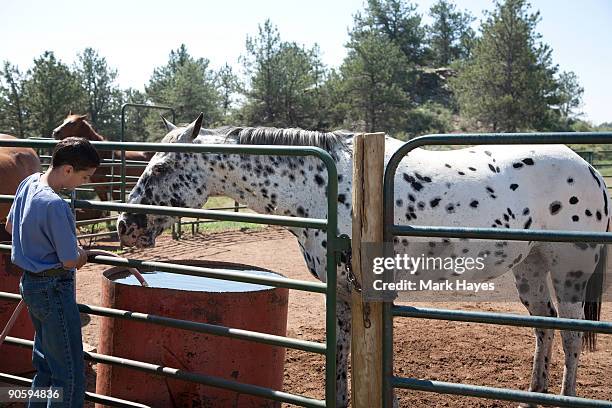 Boys On Ranches Colorado Boys Ranch Photos and Premium High Res Pictures - Getty Images