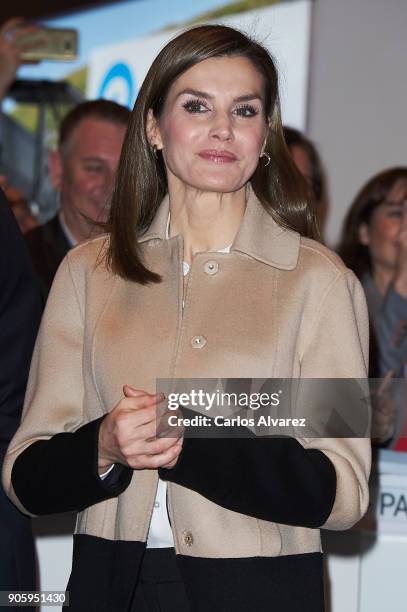 Queen Letizia of Spain inaugurates FITUR International Tourism Fair 2018 at Ifema on January 17, 2018 in Madrid, Spain.