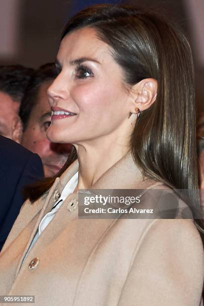 Queen Letizia of Spain inaugurates FITUR International Tourism Fair 2018 at Ifema on January 17, 2018 in Madrid, Spain.