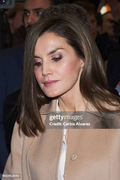 Queen Letizia of Spain inaugurates FITUR International Tourism Fair 2018 at Ifema on January 17, 2018 in Madrid, Spain.