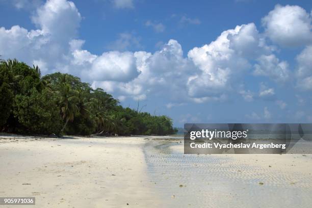 unnamed tropical beach on the east side of havelock island, andamans, india - havelock island stock pictures, royalty-free photos & images