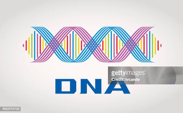 ilustrações, clipart, desenhos animados e ícones de símbolo de dna - cromossoma