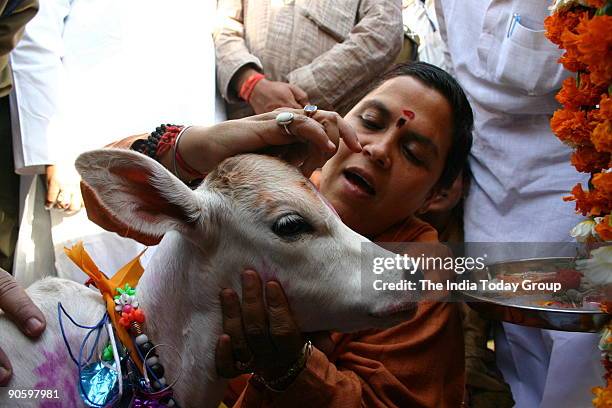 Uma Bharti, Chief Minister of Madhya Pradesh