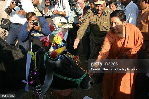 Uma Bharti, Chief Minister of Madhya Pradesh