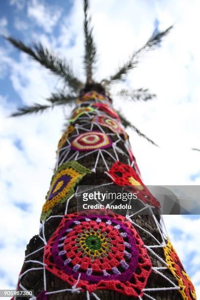 Palm tree decorated with woolen products is seen during the Woolen Tales exhibition at Migros Shopping Mall in Antalya, Turkey on January 17, 2018....