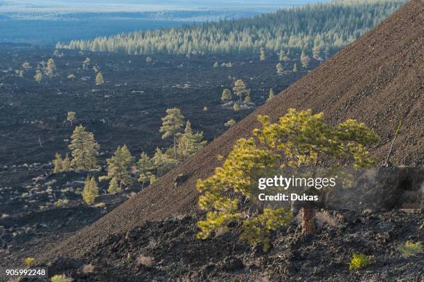 Butte Volcano 136 Central Butte Stock Photos, High-Res Pictures, and Images - Getty ...
