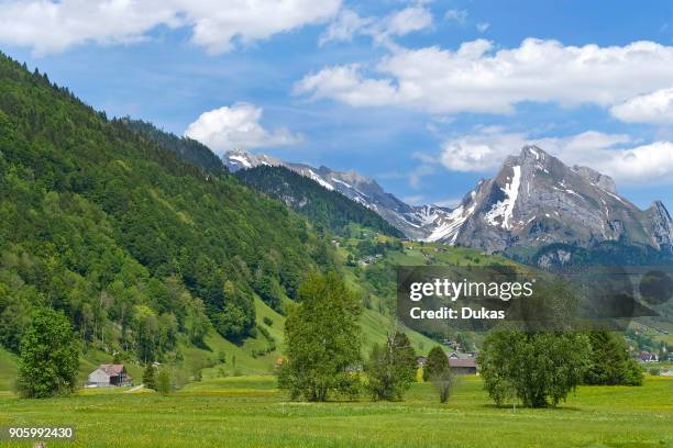 Vorlage: 231 Toggenburg Switzerland Stock Photos, High-Res Pictures, and Images 231 Toggenburg Switzerland Stock Photos, High-Res Pictures, and Images Motiv