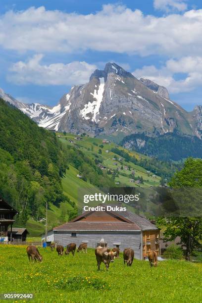 Toggenburg Valley Photos and Premium High Res Pictures - Getty Images Bild & Inspiration Foto zu Toggenburg Valley Photos and Premium High Res Pictures - Getty Images