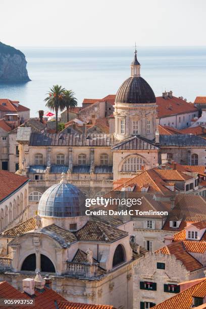 view over the old town from the city walls, dubrovnik, croatia - dubrovnik fotografías e imágenes de stock