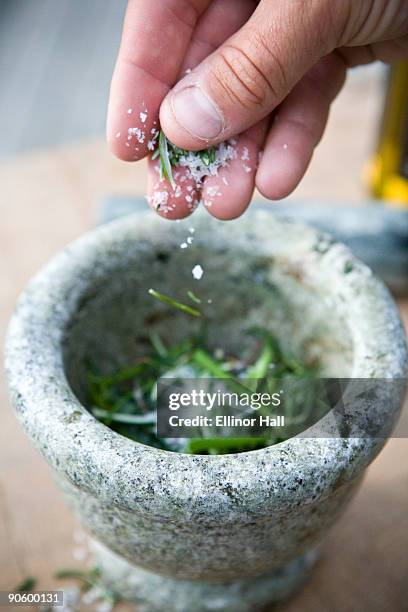 a hand putting salt on rosemary in a mortar sweden. - sal de cozinha - fotografias e filmes do acervo