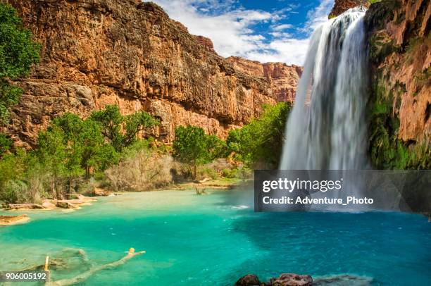 havasu falls havasupai arizona grand canyon - havasu falls stockfoto's en -beelden