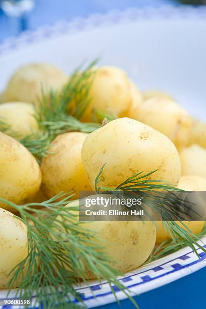 swedish new potatoes on a plate sweden. - nieuwe aardappel stockfoto's en -beelden