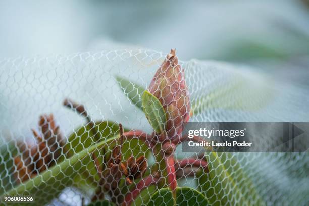 protected - halifax winter stock pictures, royalty-free photos & images