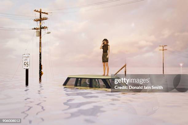 woman standing on roof of car in flood - flood city stock pictures, royalty-free photos & images