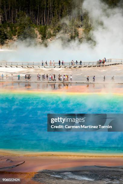 grand prismatic spring, yellowstone. - yellowstone river stock pictures, royalty-free photos & images