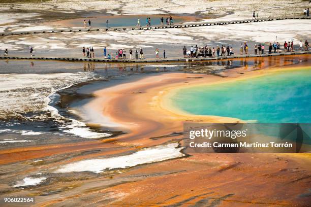 grand prismatic spring, yellowstone. - grand prismatic spring stock pictures, royalty-free photos & images