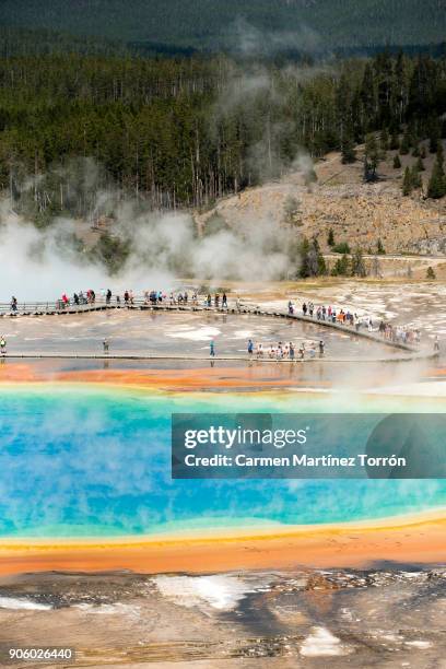 grand prismatic spring, yellowstone. - yellowstone photos et images de collection