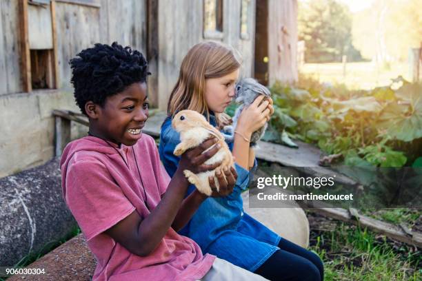 bambini carini che coccolano i coniglietti all'aperto in primavera. - coniglio animale foto e immagini stock