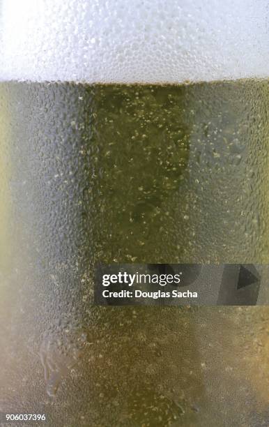 perspiration on a beer bottle - natale stockfoto's en -beelden
