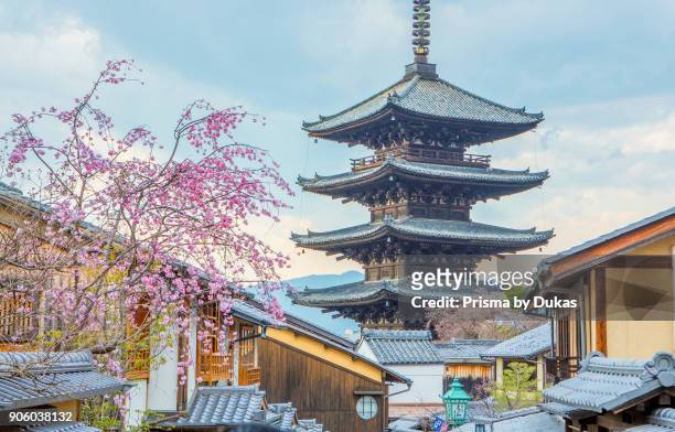 Japan, Kyoto City, Pagoda and blossoms.