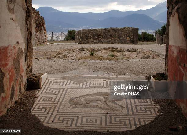 Italy, Pompeii. Ruins with a mosaic in the first place.