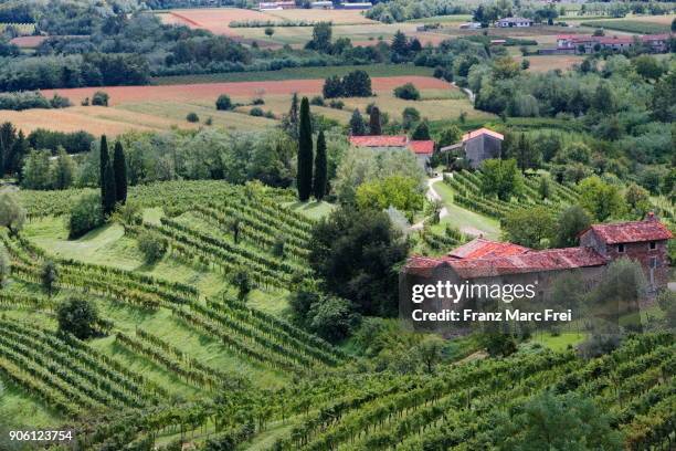 vew from the rose garden over vineyards, abbazia di rosazzo, friuli-venezia giulia, italy - friuli foto e immagini stock