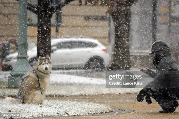 Woman takes a picture of her dog on January 17, 2018 in Raleigh, North Carolina. Governor Roy Cooper declared a State of Emergency yesterday ahead of...