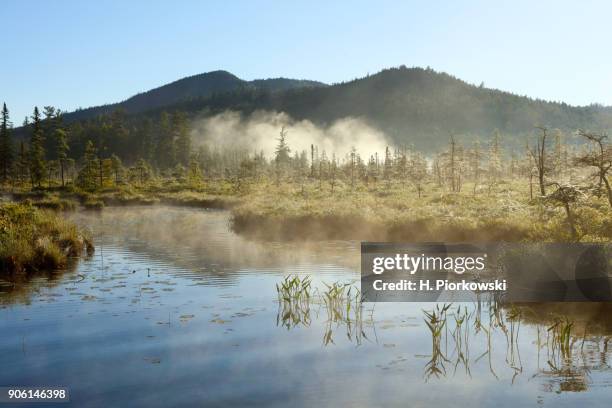 misty wetland - see saranac lake stock-fotos und bilder