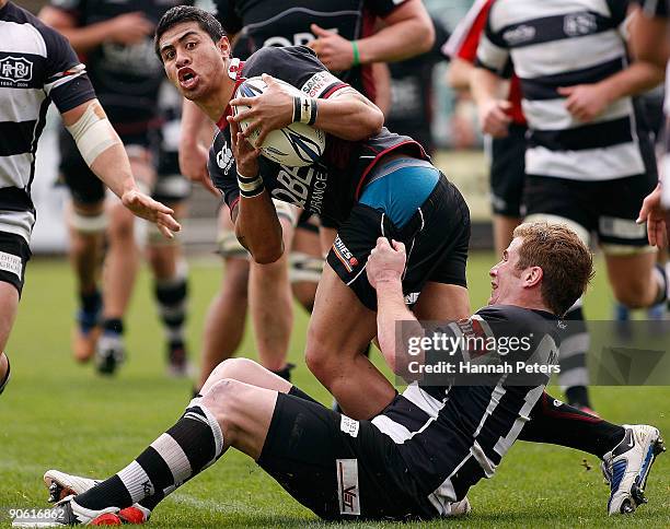 George Pisi 2,152 Pisi Stock Photos, High-Res Pictures, and Images - Getty Images