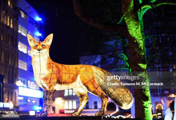 Statue of a fox is lit up at the launch of Lumiere London at W hotel, Leicester Square on January 17, 2018 in London, England. To kick start 2018, 15...