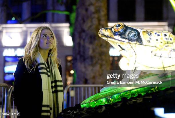 Sculpture of a frog is lit up at the launch of Lumiere London at W hotel, Leicester Square on January 17, 2018 in London, England. To kick start...