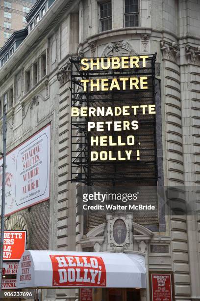 Theatre Marquee unveiling for Bernadette Peters starring in "Hello, Dolly!" at the Shubert Theatre on January 17, 2018 in New York City.