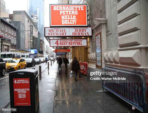 Theatre Marquee unveiling for Bernadette Peters starring in "Hello, Dolly!" at the Shubert Theatre on January 17, 2018 in New York City.