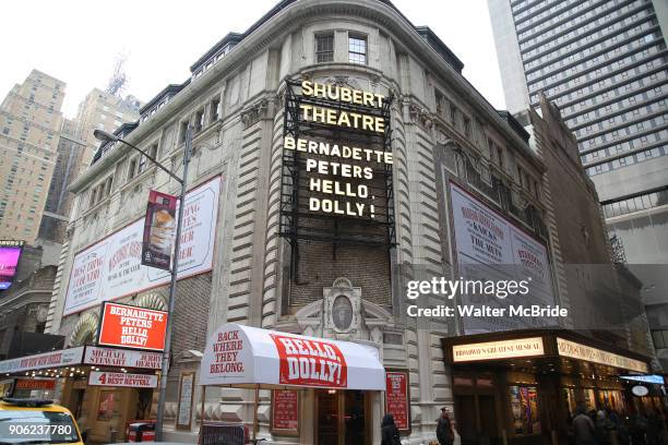 Theatre Marquee unveiling for Bernadette Peters starring in "Hello, Dolly!" at the Shubert Theatre on January 17, 2018 in New York City.