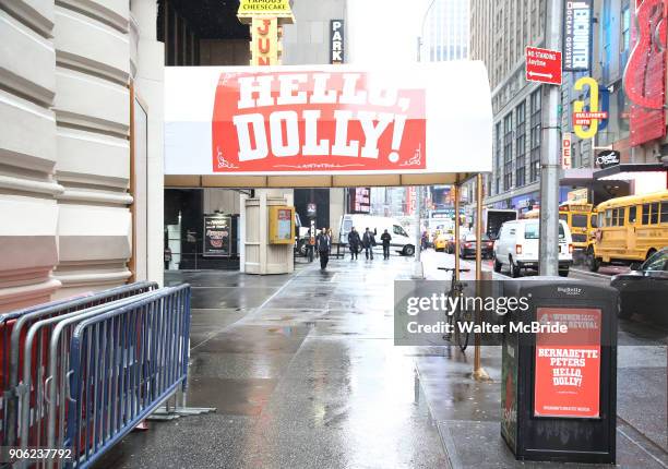 Theatre Marquee unveiling for Bernadette Peters starring in "Hello, Dolly!" at the Shubert Theatre on January 17, 2018 in New York City.