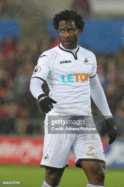 Wilfried Bony of Swansea City in action during the Emirates FA Cup match between Swansea and Wolverhampton Wanderers at the Liberty Stadium on...