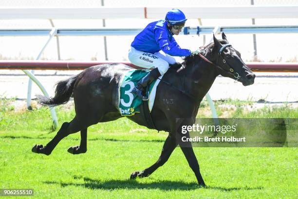 Haunted ridden by Andrew Mallyon wins the Vale William 'Bill' Harding Maiden Plate at Kilmore Racecourse on January 18, 2018 in Kilmore, Australia.