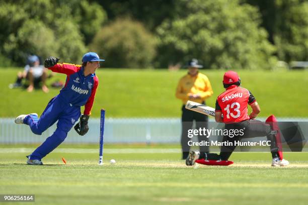 Lohan Louwrens of Namibia celebrates the wicket of Randhir Sandhu of Canada during the ICC U19 Cricket World Cup match between Namibia and Canada at...