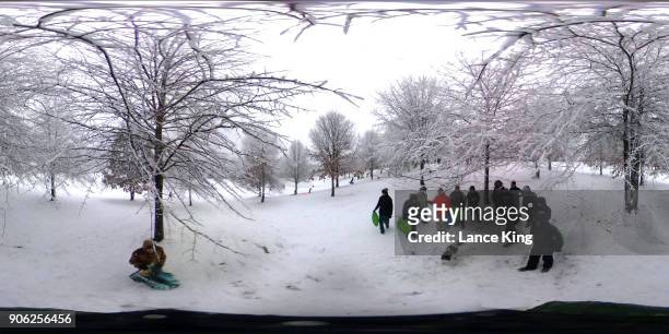 General view as dozens of people gather to sled at Dorothea Dix Park during a snow storm on January 17, 2018 in Raleigh, North Carolina. North...