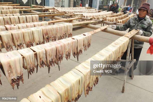 Fisherman airs fish on bamboo scaffolds on January 18, 2018 in Lianyungang, Jiangsu Province of China. These pickled fish will meet market supply in...