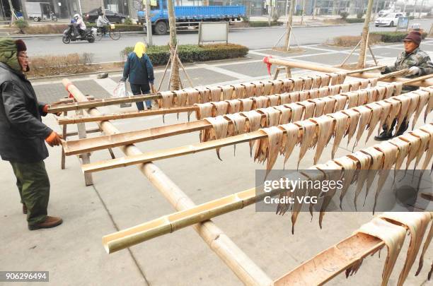 Fisherman airs fish on bamboo scaffolds on January 18, 2018 in Lianyungang, Jiangsu Province of China. These pickled fish will meet market supply in...