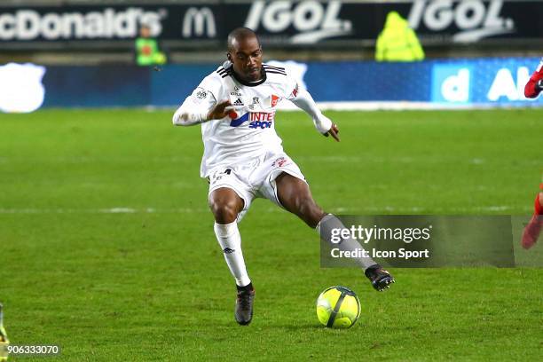 Gael of Amiens during the Ligue 1 match between Amiens SC and Montpellier Herault SC at Stade de la Licorne on January 17, 2018 in Amiens, .