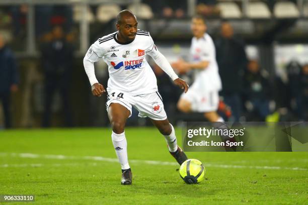 Gael of Amiens during the Ligue 1 match between Amiens SC and Montpellier Herault SC at Stade de la Licorne on January 17, 2018 in Amiens, .